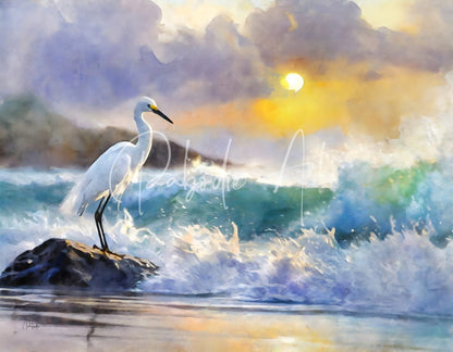 A white egret with a black beak stands on a dark rock in rough sea waves under a golden sunset sky in the egret and the rough sea product