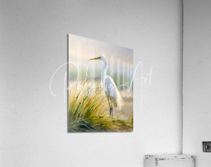 Acrylic print titled egret by the sea featuring a white egret in a soft-focus marsh scene mounted on a wall
