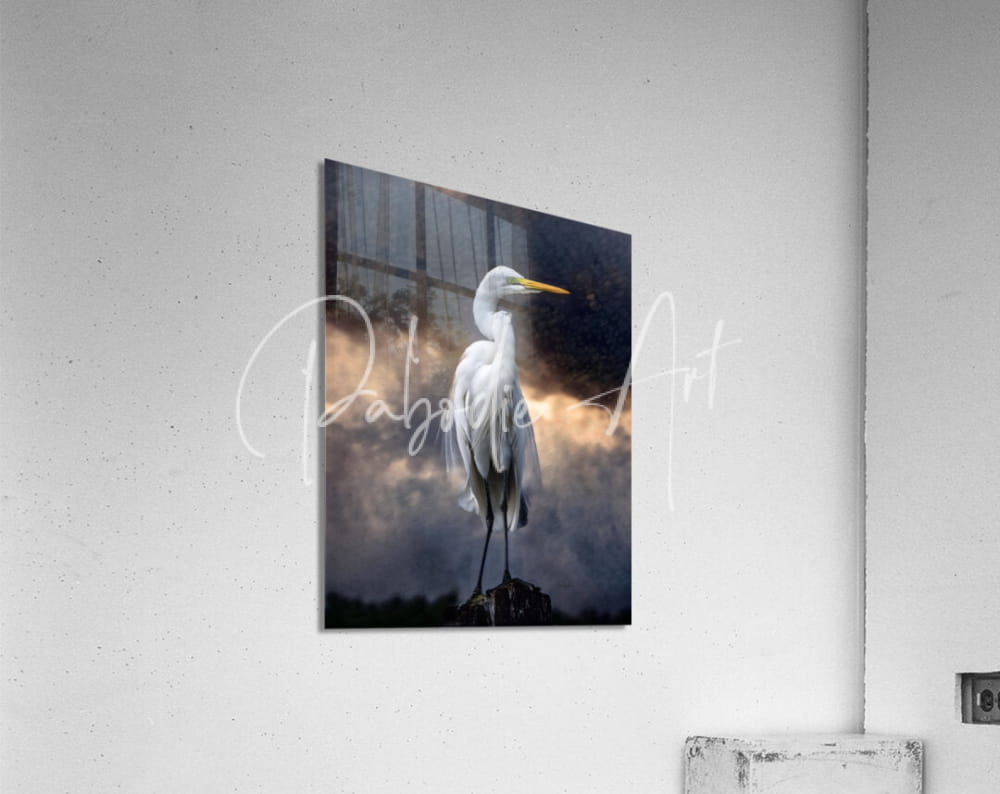 Egret standing tall white egret art print mounted on wall showcasing detailed bird illustration on smooth paper