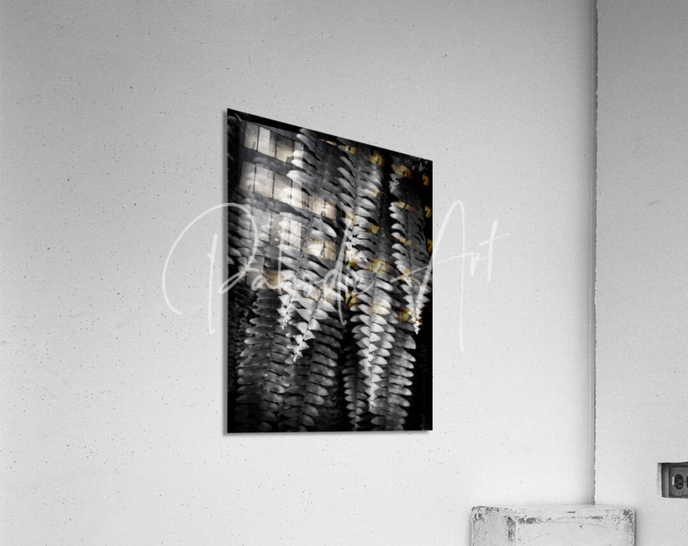 Black and white abstract art print fern fronds with layered textured fern patterns on sleek acrylic surface