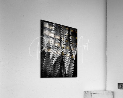 Black and white abstract art print fern fronds with layered textured fern patterns on sleek acrylic surface