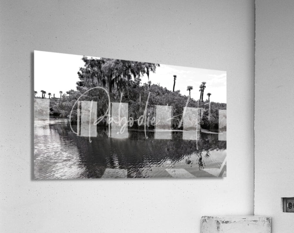 Black-and-white acrylic print titled find the turtle showing a serene water scene with palm trees reflected in the surface
