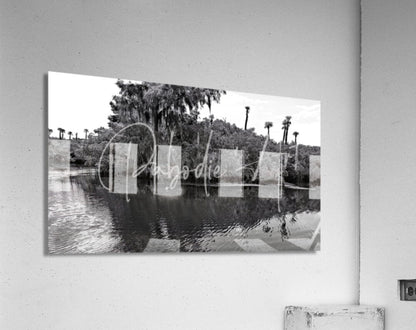 Black-and-white acrylic print titled find the turtle showing a serene water scene with palm trees reflected in the surface
