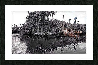 Black-framed art print find the turtle featuring a serene monochrome landscape with reflective water and moss-draped trees