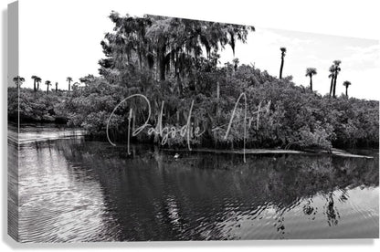 Black and white canvas print of a serene swamp scene with palm trees and hanging moss titled find the turtle