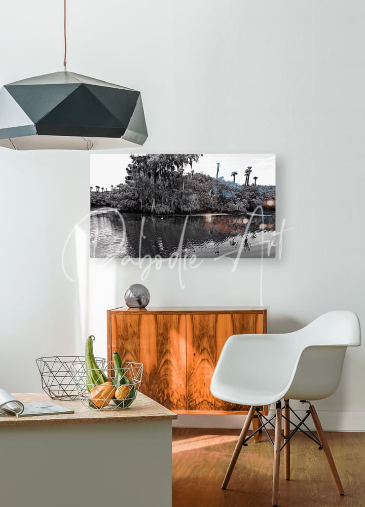 Black and white photographic print of a swamp scene with palm trees featured in the find the turtle wall art product