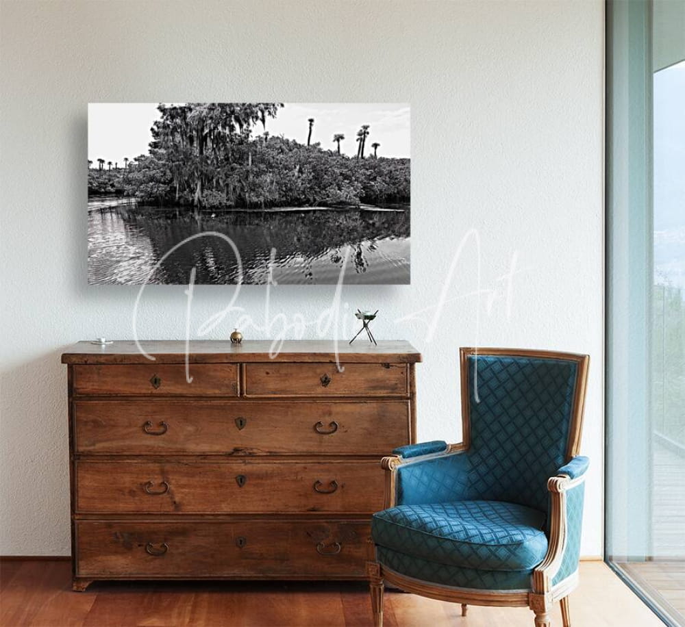 Black and white photographic print of a swamp scene with palm trees mounted above a wooden dresser titled find the turtle