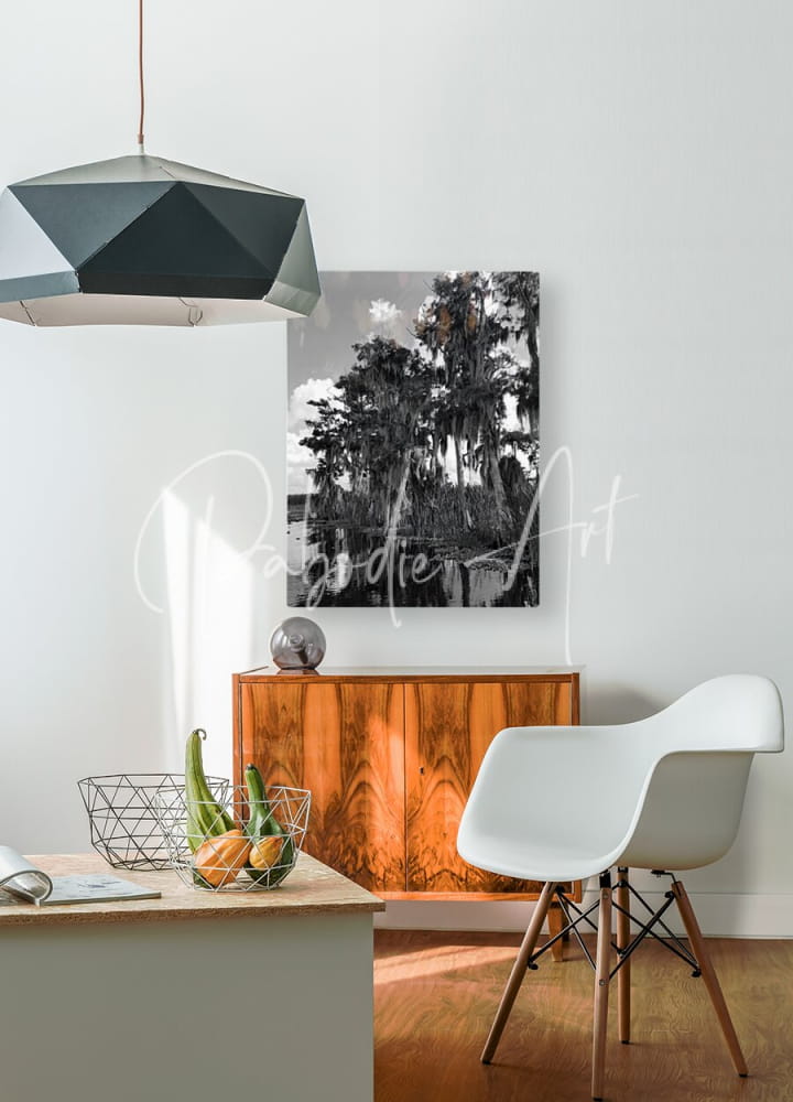 Black and white canvas print of palm trees titled Florida Bald Cypress hanging on a wall for home decor