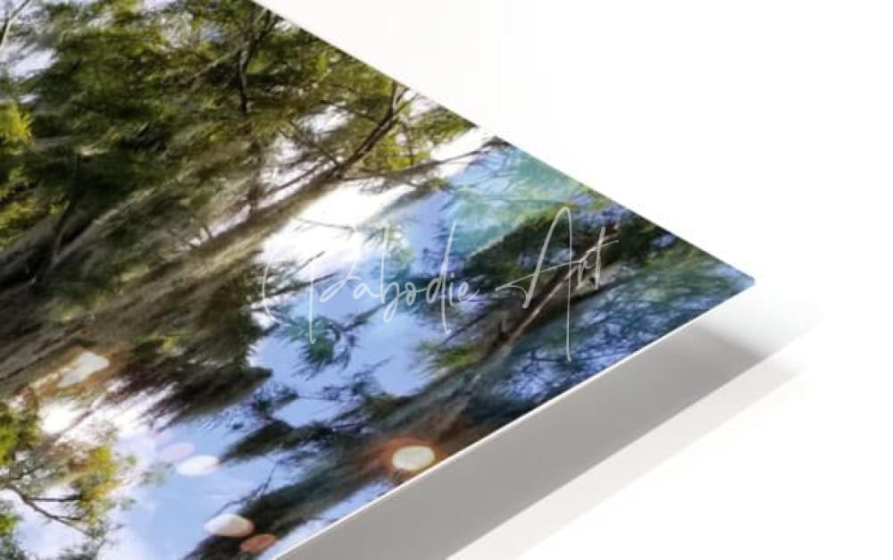 A sleek white-framed canvas print of florida bald cypress trees reflecting lush greenery and blue sky in water