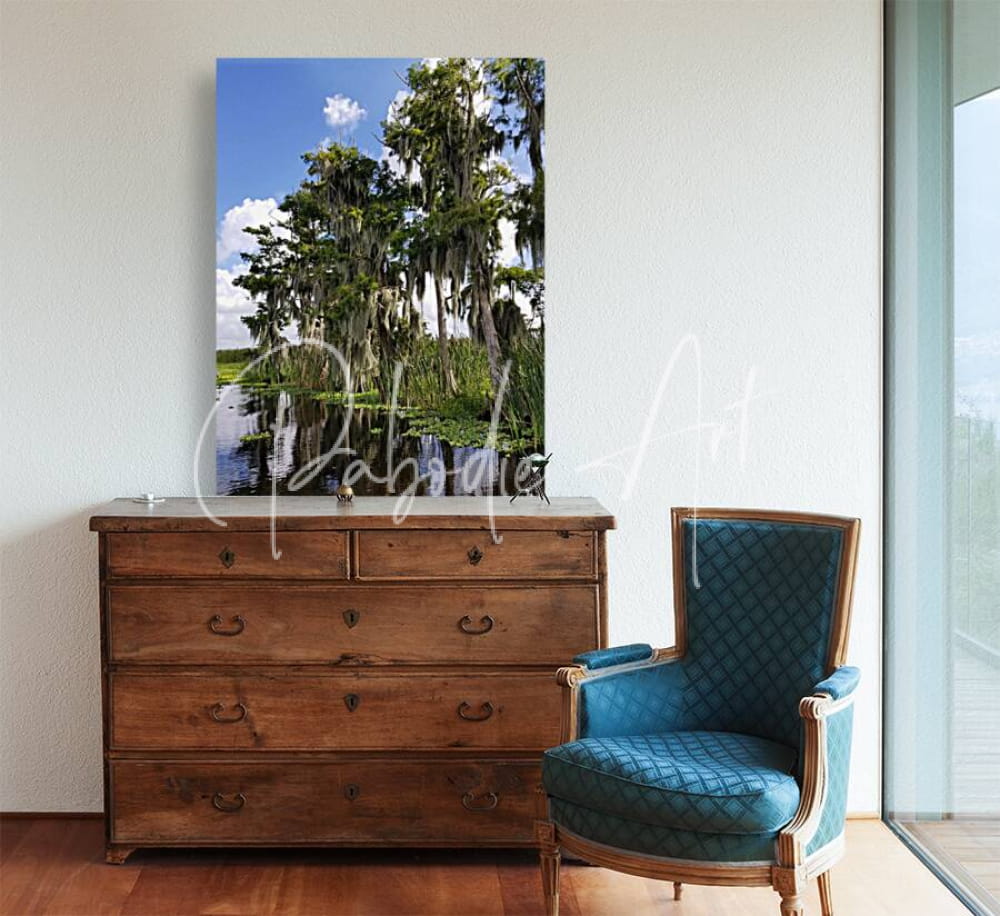 A rectangular canvas print of florida bald cypress trees showing a serene swamp with spanish moss under blue sky