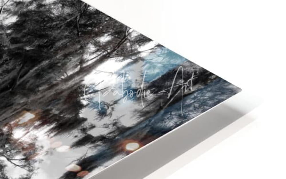 A sleek acrylic print titled florida bald cypress showing moody dark trees and reflective water under soft blue light