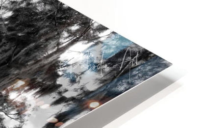 A sleek acrylic print titled florida bald cypress showing moody dark trees and reflective water under soft blue light