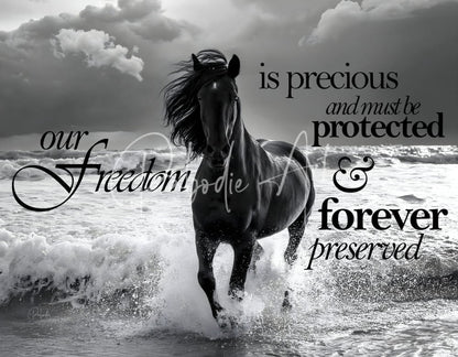 A black freedom horse gallops through crashing ocean waves showcasing its flowing mane and powerful movement