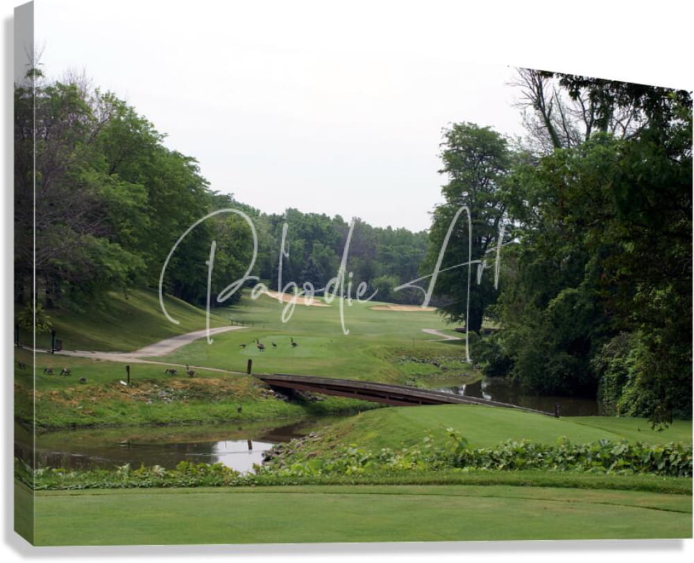Canvas print of a serene golf course with lush green fairways and a small bridge at sawmill creek titled of geese and golf