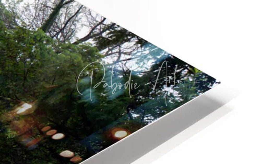 A sleek white-framed canvas print of a lush forest with dappled sunlight titled of geese and golf at sawmill creek