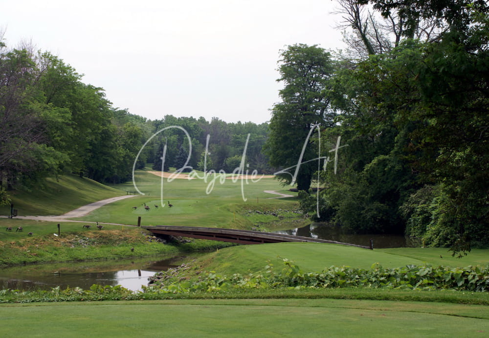 Wooden bridge spanning a narrow waterway on a lush green golf course in Of Geese And Golf At Sawmill Creek