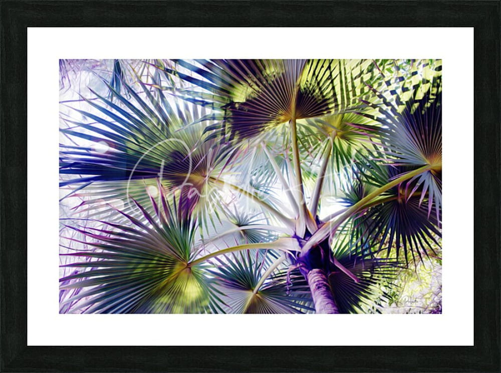 Glorious palms vibrant stylized print of green and purple palm fronds in black frame with white mat wall art