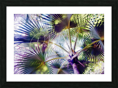 Glorious palms vibrant stylized print of green and purple palm fronds in black frame with white mat wall art