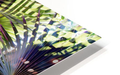 A sleek metal-framed art piece featuring a vibrant tropical leaf print called glorious palms