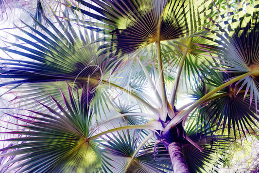 Vibrant glorious palms featuring digitally enhanced green purple and yellow palm fronds radiating from a textured trunk