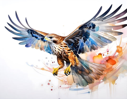 A vibrant watercolor illustration of a soaring hawk with brown black and blue feathers in hawk in flight ink wash product