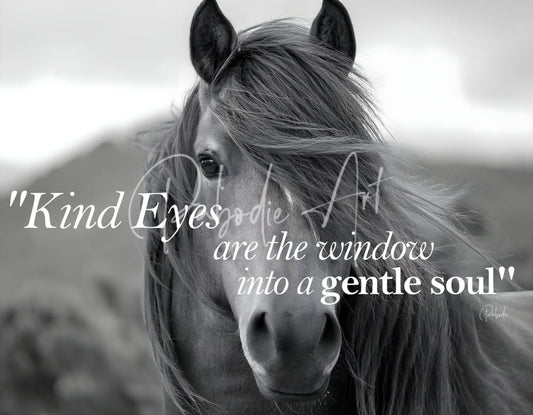 Black-and-white portrait of a horse with expressive eyes and flowing mane for kind eyes product design