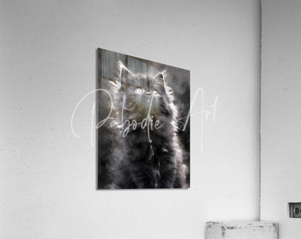 Black and white watercolor painting of a fluffy kitten hanging on the wall titled kitten discovering the world