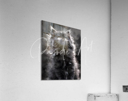 Black and white watercolor painting of a fluffy kitten hanging on the wall titled kitten discovering the world