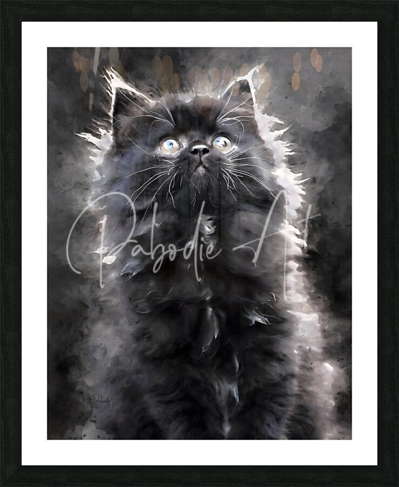 Black watercolor painting of a fluffy kitten with glowing eyes framed in black titled kitten discovering the world