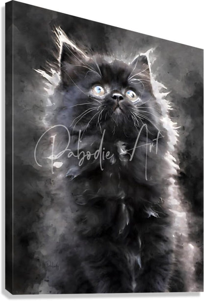 A black watercolor painting of a fluffy kitten with glowing blue eyes on a stretched canvas titled kitten discovering the world