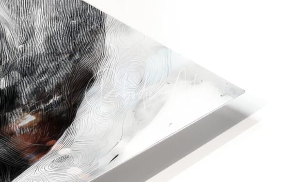 Abstract black and white artwork with subtle swirling patterns on a clear acrylic print titled Knowledge of Her Years