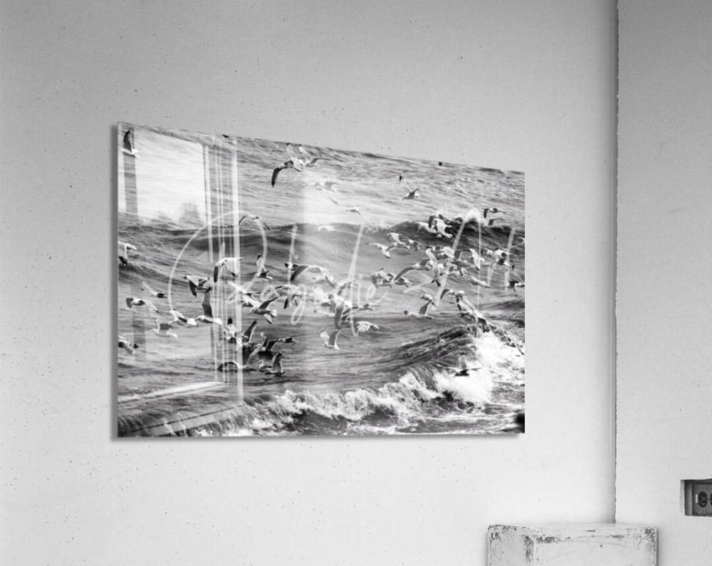 Black-and-white acrylic print of seagulls in flight over crashing ocean waves titled morning gulls