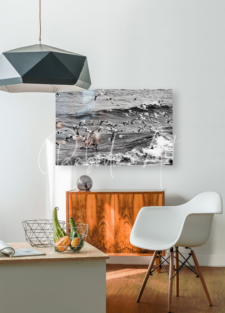 Black and white photographic print of seagulls in motion over ocean waves titled morning gulls mounted on wall