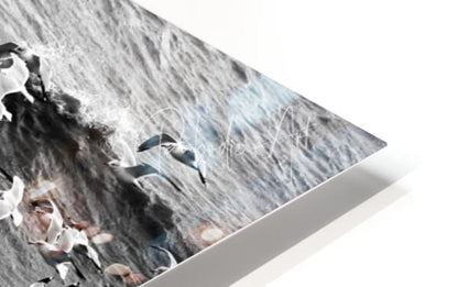 Morning Gulls canvas print featuring gray and white seagulls in mid-flight over waves on a sleek matte finish