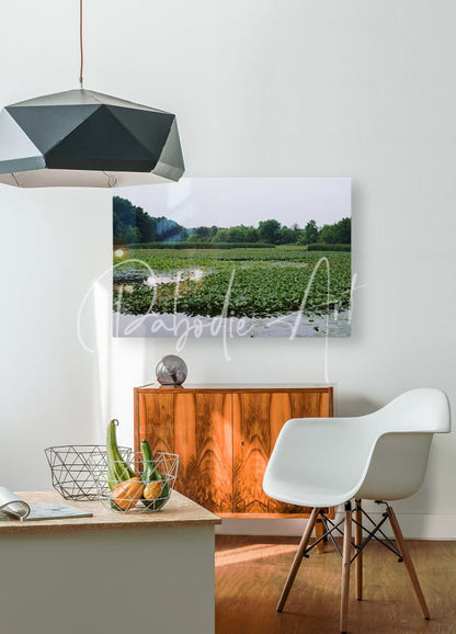 A rectangular canvas print titled natural elevations of nature at sheldon marsh featuring green water lilies and trees