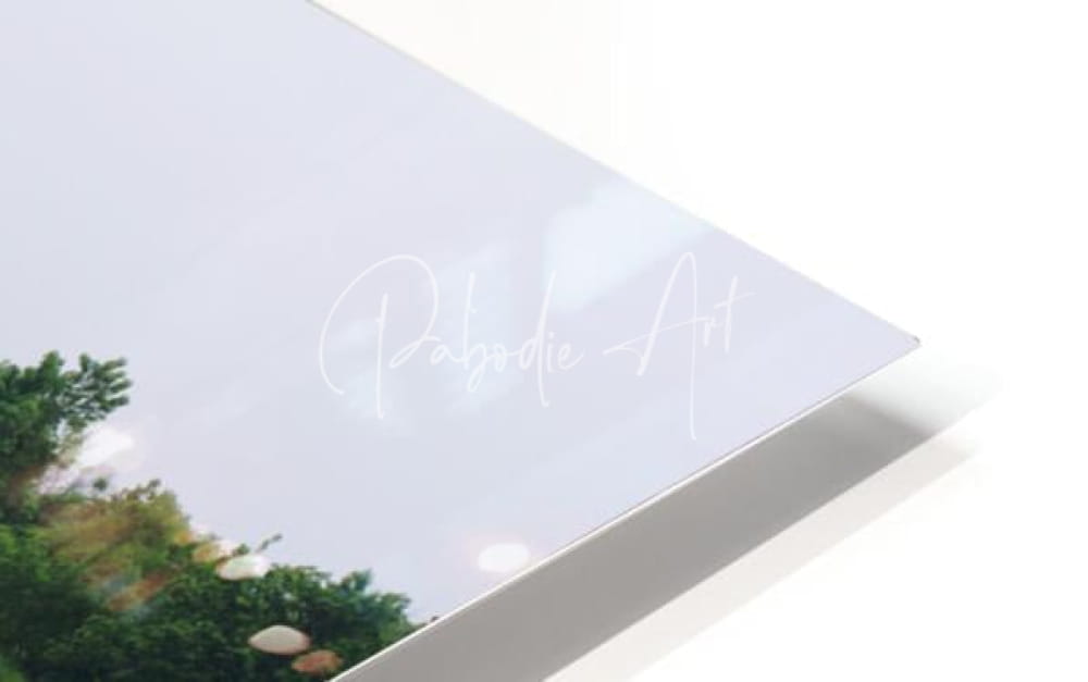 A sleek glossy white acrylic print of an impressionistic landscape titled natural elevations of nature at sheldon marsh