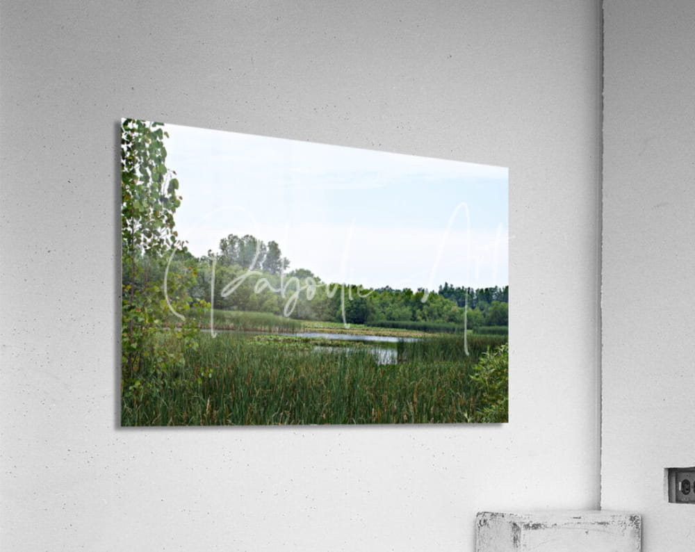 A rectangular acrylic print titled natural serenity featuring tall green reeds and calm water reflecting a pale blue sky