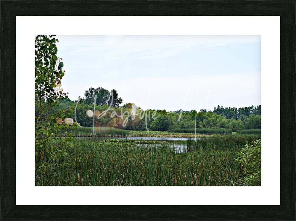Black-framed landscape photograph titled natural serenity featuring a serene pond with green reeds and trees under an overcast sky