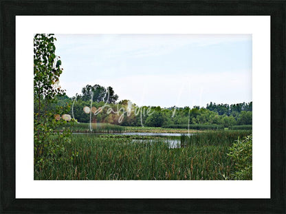 Black-framed landscape photograph titled natural serenity featuring a serene pond with green reeds and trees under an overcast sky