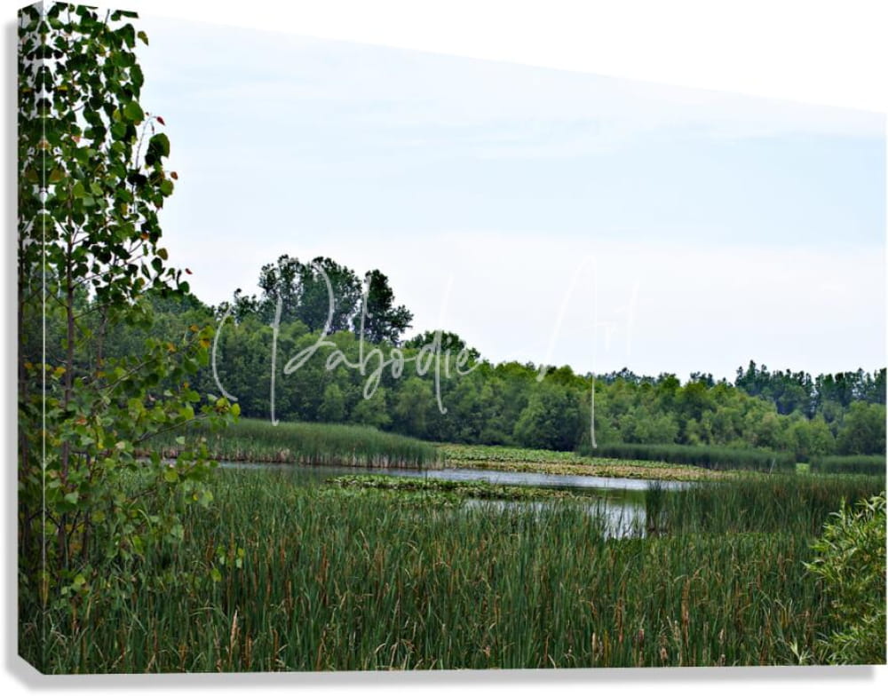 Green leafy canvas print titled natural serenity featuring a tranquil pond with reeds and trees in calming colors