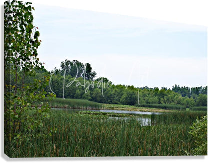 Green leafy canvas print titled natural serenity featuring a tranquil pond with reeds and trees in calming colors