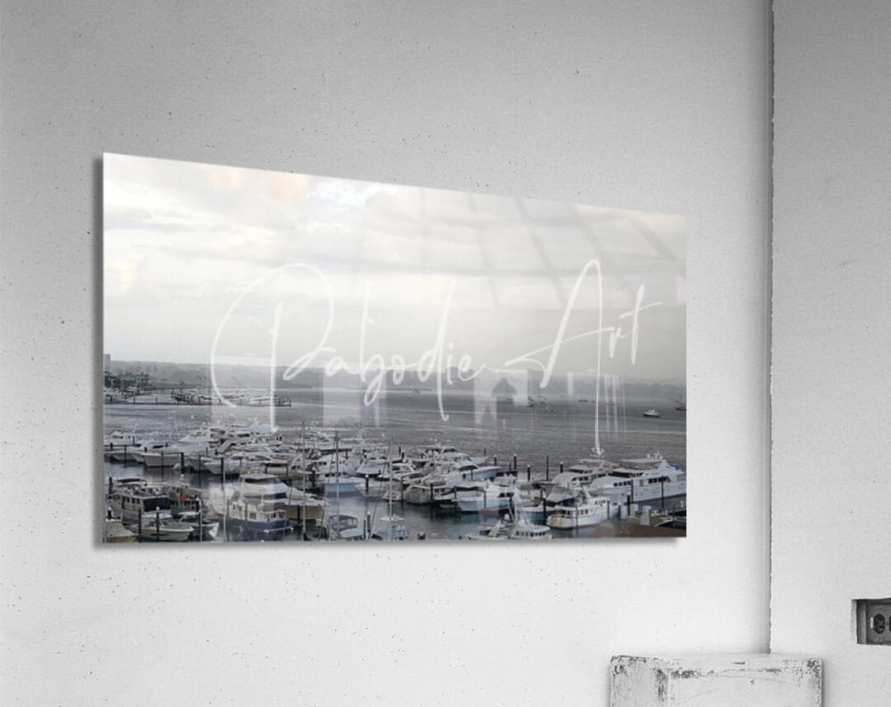 Black-and-white acrylic print of Old Port Cove Marina featuring numerous boats in a detailed marina scene