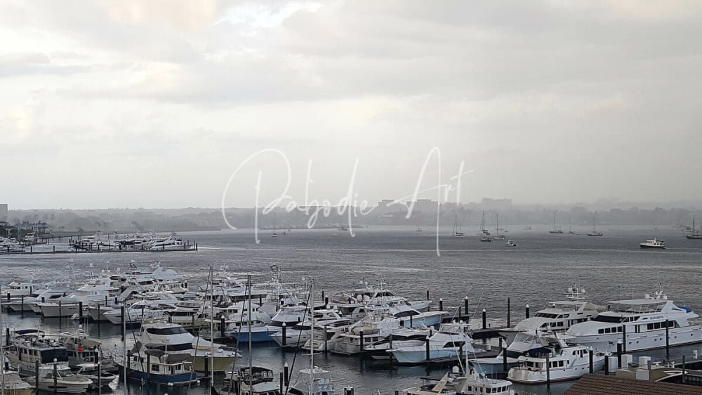 A serene marina at old port cove marina with white and light-colored yachts docked in calm waters under an overcast sky