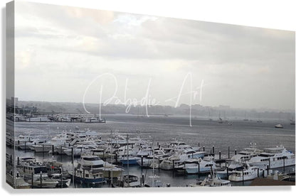 Gray and white canvas print of old port cove marina featuring numerous boats docked at the marina