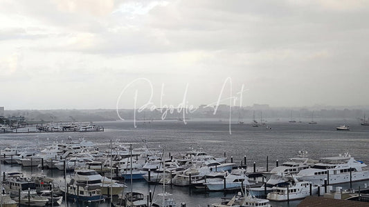 Old Port Cove Marina serene marina with numerous white and light-colored yachts docked in calm waters under an overcast sky