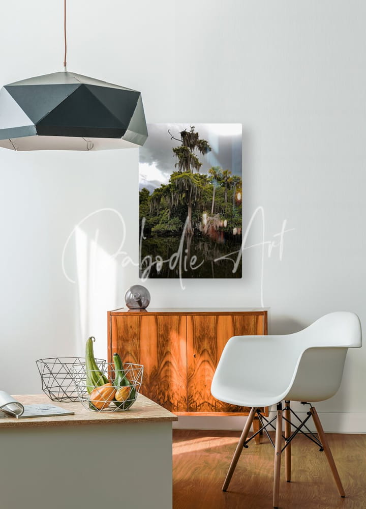 A framed canvas print of a lush green swamp scene with tall trees and spanish moss titled osprey nest on the loxahatchee