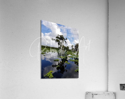 A rectangular acrylic print titled osprey reflections showing tall trees reflected in dark water under a bright blue sky