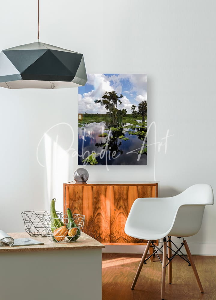 Square canvas print titled osprey reflections featuring a serene swamp scene with tall trees and reflective water