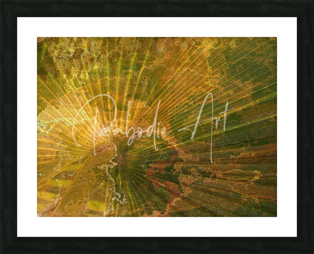Palm burst rays golden and green abstract art print in black frame with white matting for modern wall decor