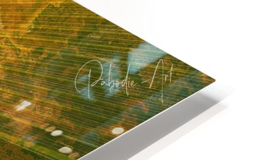 A rectangular art print palm burst rays with textured abstract landscape in green and gold featuring cursive pabodie art text